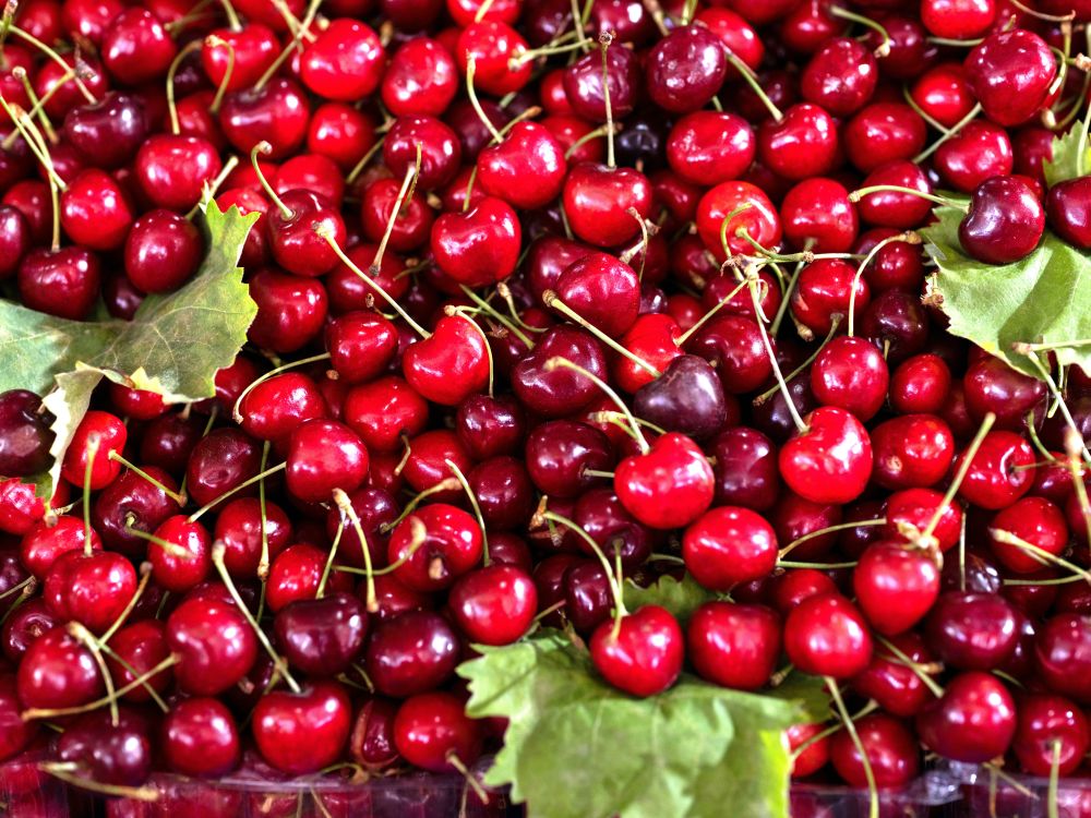 Cherries